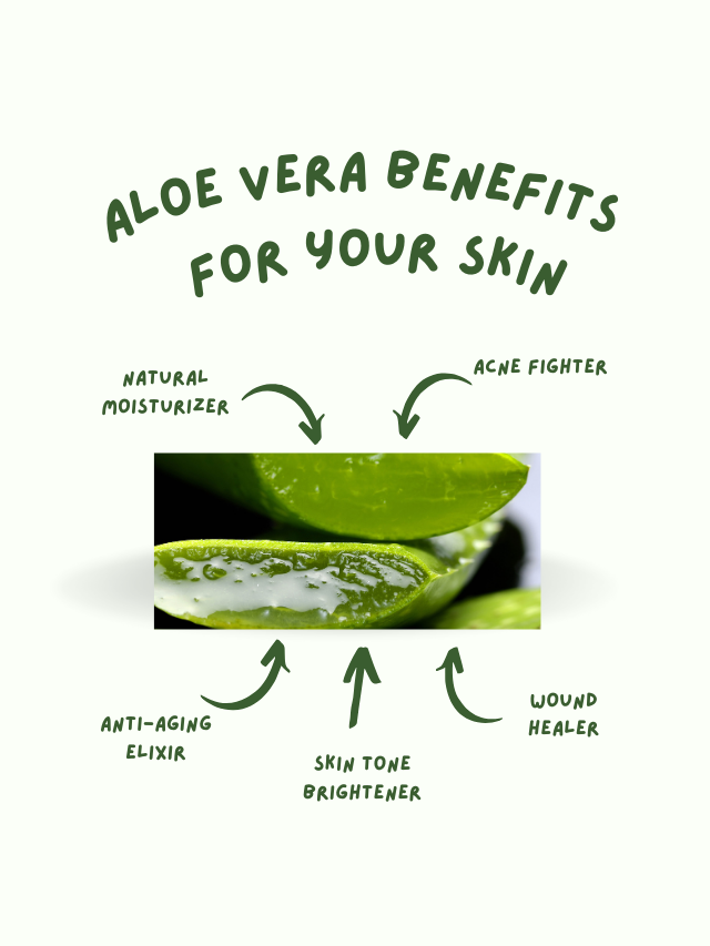 Read more about the article Unlocking the Secrets of Aloe Vera for Beautiful Skin