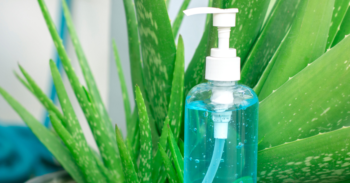 Read more about the article Creating Magic: Homemade Aloe Vera Gel in 5 Easy Step