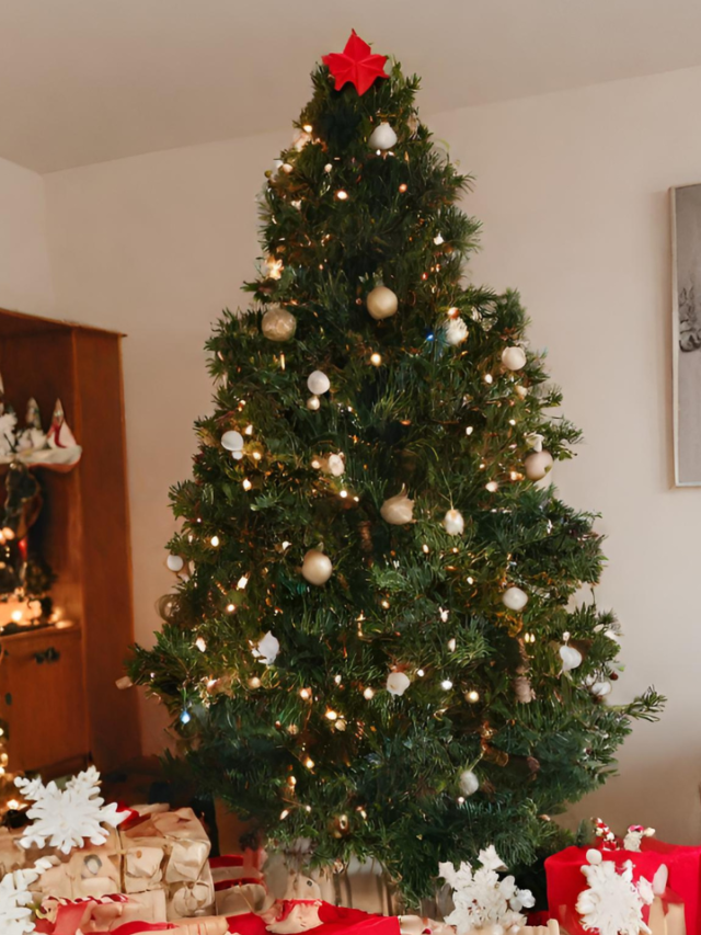 Read more about the article 12 Festive Christmas Decoration Ideas for a Joyful Home!